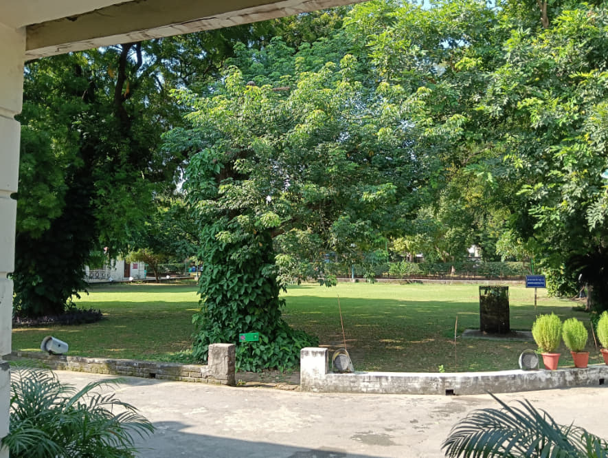 IP College for Women Campus photo 11